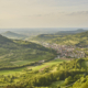 Landschaftsbild mit Weinbergen im Hintergrund und im Tal eine Kleinstadt