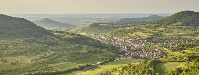 Landschaftsbild mit Weinbergen im Hintergrund und im Tal eine Kleinstadt